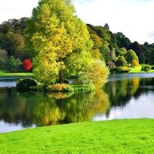 فاطمہ زہرا avatar
