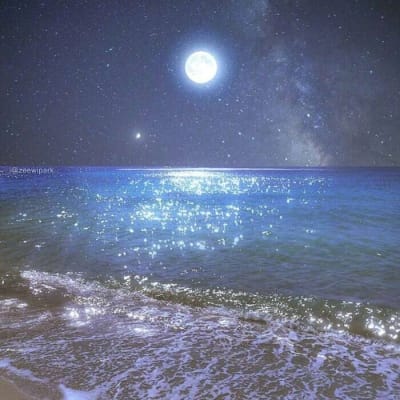 فیصل محمود avatar